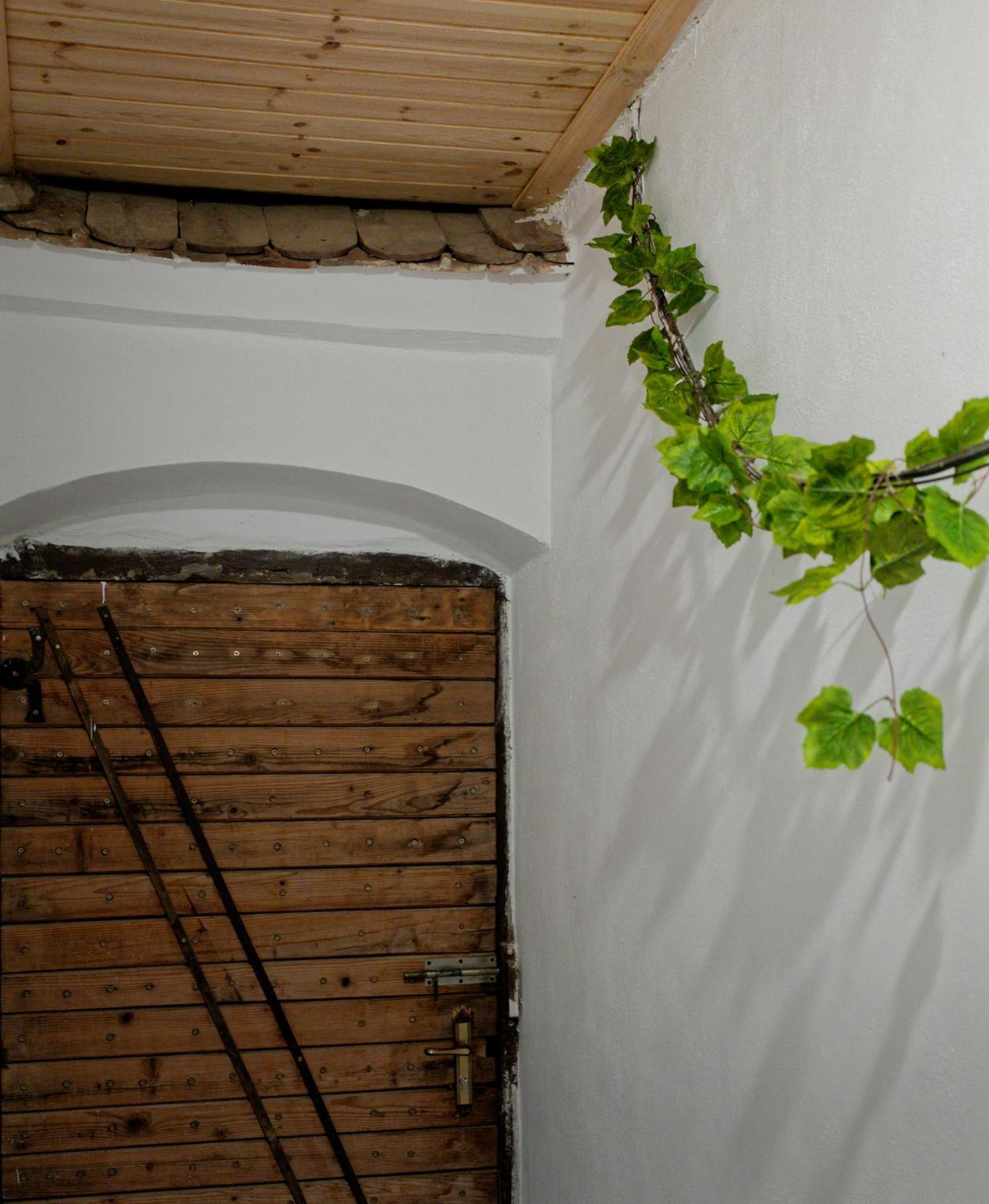 ,, La Maison Concordia " Cincu Exteriör bild